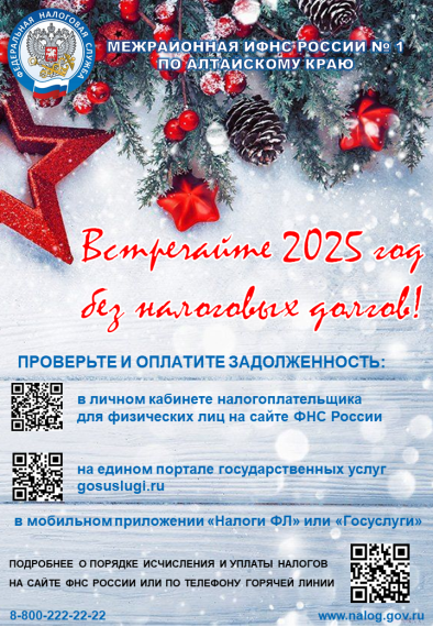 В новый год без налоговых долгов. В новый год без налоговых долгов.